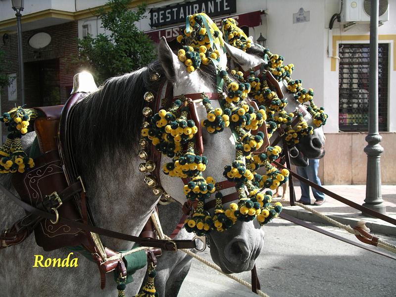 Andalusie 2008 186.jpg